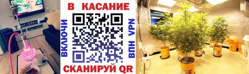 Наркошоп купить СК  МЕФ  Марихуана  COCAIN  Таштагол
